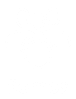 Logo Protekto
